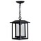 Cwi Lighting Winfield 1 Light Black Outdoor Hanging Light 0414P10-1-101 - alternate 4